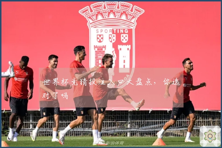 世界杯竞猜投注入口大盘点，你选对了吗