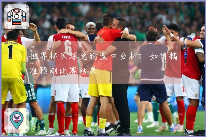 世界杯买球竞猜盘口分析：如何精准预测比赛结果