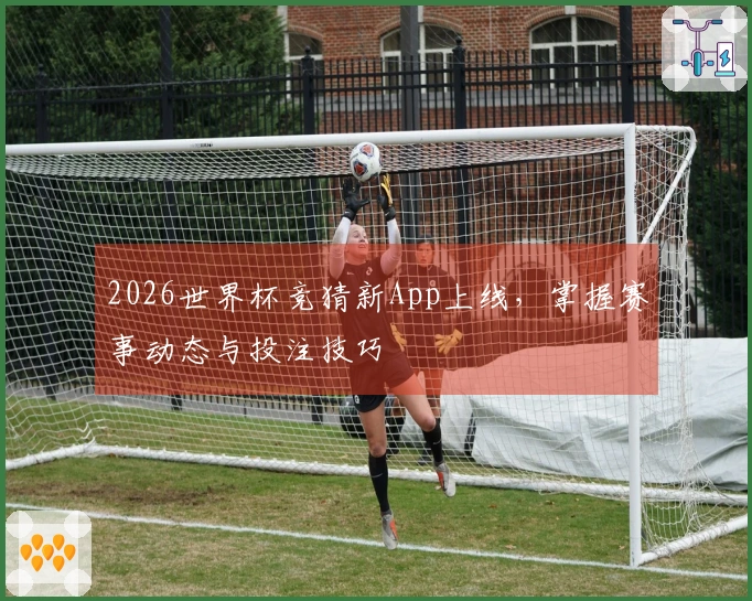 2026世界杯竞猜新App上线，掌握赛事动态与投注技巧